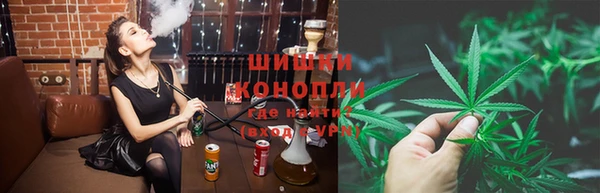 крисы Михайловск