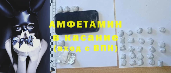 прущие грибы Апатиты