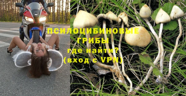 крисы Михайловск
