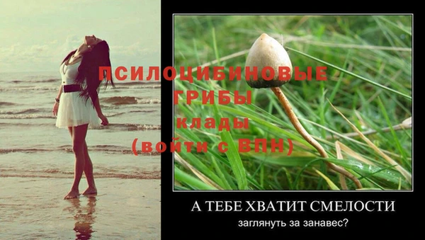 каннабис Михайловка