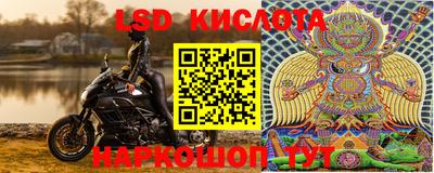дурь Заводоуковск