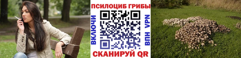Галлюциногенные грибы прущие грибы  продажа наркотиков  Феодосия 
