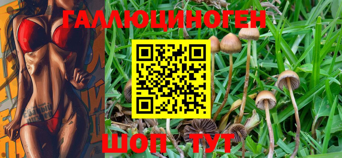 Псилоцибиновые грибы ЛСД Феодосия