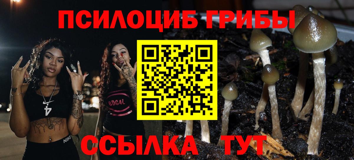 Псилоцибиновые грибы мухоморы Феодосия